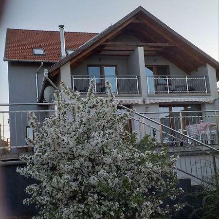 Villa Rigo Panzio Verpelet Exterior photo
