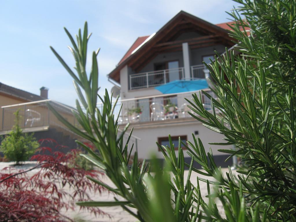Villa Rigo Panzio Verpelet Exterior photo