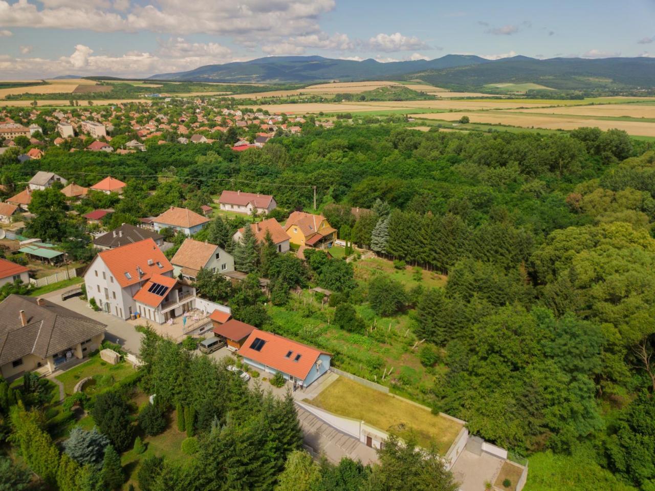 Villa Rigo Panzio Verpelet Exterior photo